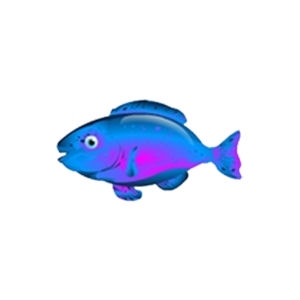 Proto Parrotfish